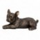 Statue Chien Bouledogue français couché, design réaliste et finition bronze satin, longueur 31 cm