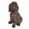 Statue Chien Cocker en magnésie, intérieur et extérieur, ambré et marron, hauteur 36 cm