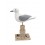 Déco Marine : Mouette sur Socle, Aspect Bois vieiili, Corde et gravillons, H 25 cm